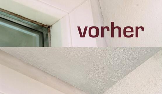 Den Schimmel aus der Ecke locken