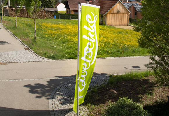 Zwetschke