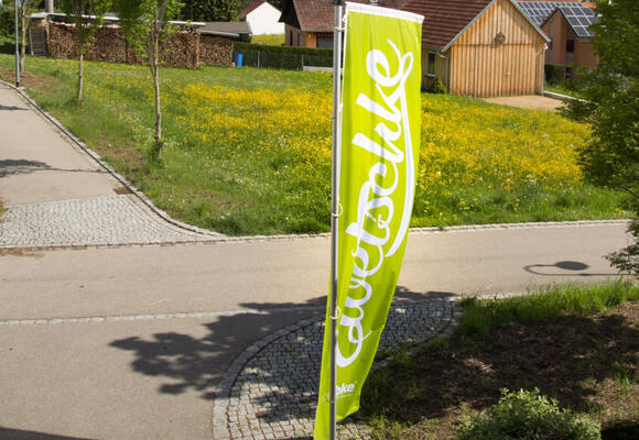 Zwetschke